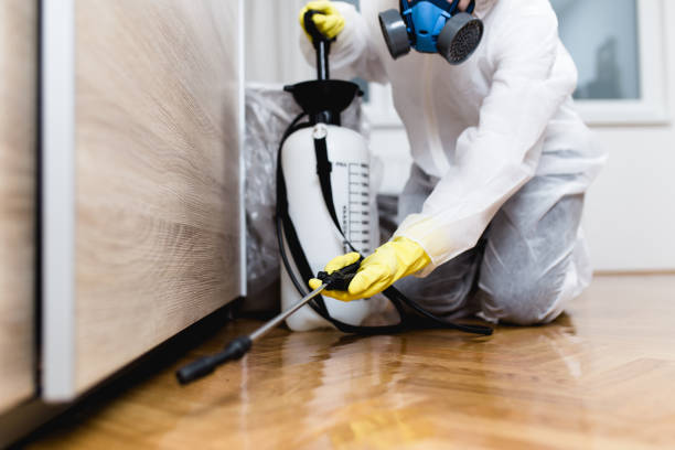 Best Pest Removal Services  in Calera, OK