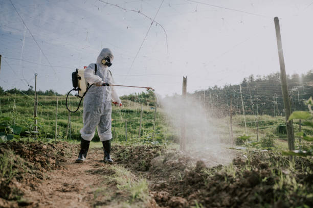 Best Local Pest Control Services  in Calera, OK