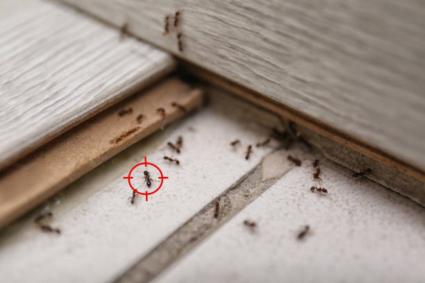 Calera, OK Pest Control Company