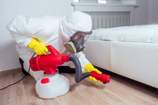 Best Bed Bug Extermination  in Calera, OK