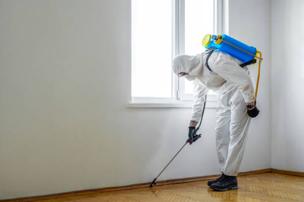 Pest Control Cost in Calera, OK