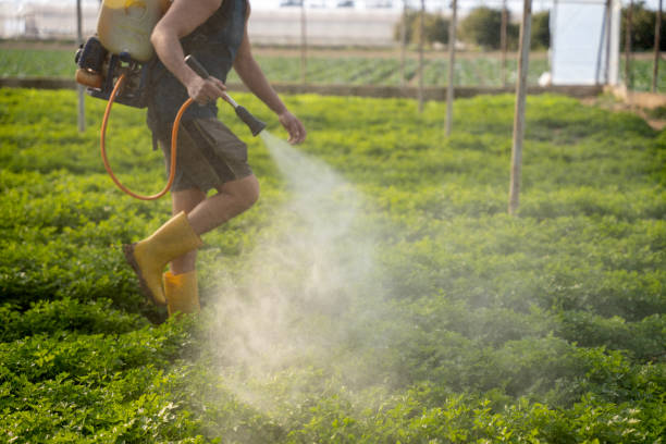 Best Commercial Pest Control Services  in Calera, OK